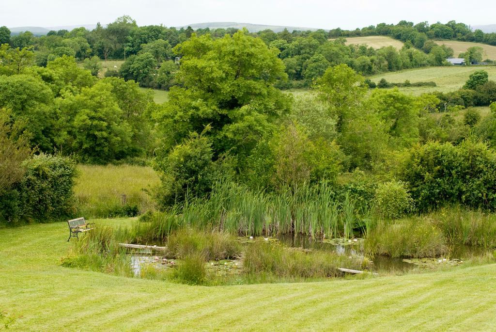 Lake Rise Holiday Home At Kilmaddaroe Carrick on Shannon Pokój zdjęcie